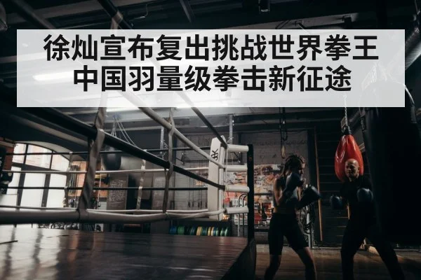 徐灿宣布复出挑战世界拳王 中国羽量级拳击新征途